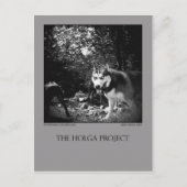 Briefkaart 10 (Voorkant)