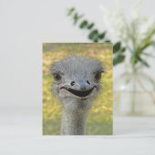 Briefkaart 2 glimlachen (Staand voorkant)