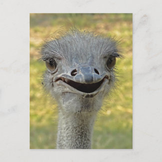 Briefkaart 2 glimlachen