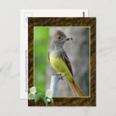 Briefkaart 2 voor geweldige brochure (Voorkant / Achterkant)