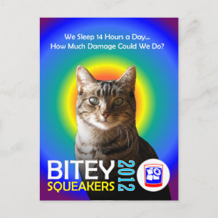 Briefkaart 3 van het gebitey/Squeakers Ticket (TM)