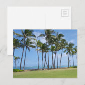 Briefkaart aan de kust van Hawaï (Voorkant / Achterkant)