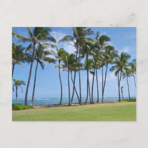 Briefkaart aan de kust van Hawaï