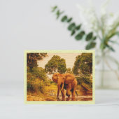  Briefkaart Afrikaanse olifant (Staand voorkant)