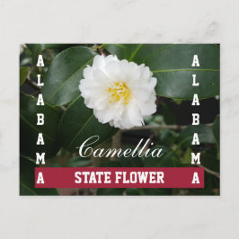 Briefkaart Alabama State Flower Camellia