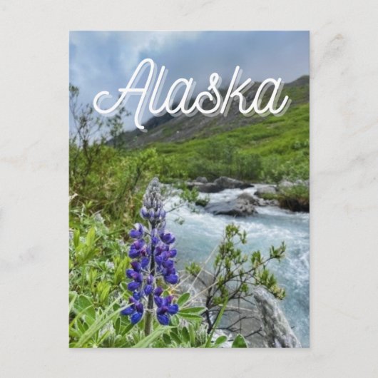 Briefkaart Alaska River Flower (Voorkant)