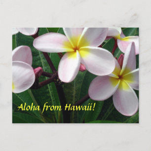 briefkaart "Aloha uit Hawaï"