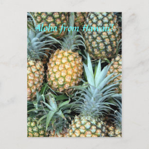 briefkaart "Aloha uit Hawaï"