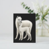 Briefkaart Alpaca & Cria (Staand voorkant)