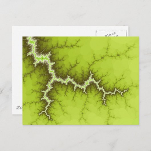 Briefkaart Apple Tree Roots (Voorkant / Achterkant)