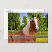 briefkaart "Arbella" (Voorkant / Achterkant)