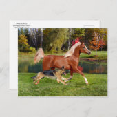 briefkaart "Arbella & Butch" (Voorkant / Achterkant)