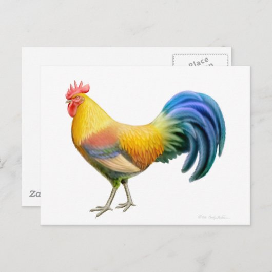 Briefkaart Ardenner Rooster (Voorkant / Achterkant)