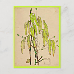 Briefkaart- Art-Charles Rennie Mackintosh 11 Briefkaart