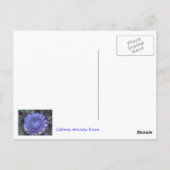 Briefkaart Artichoke Bloom (Achterkant)