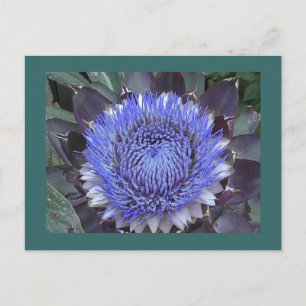 Briefkaart Artichoke Bloom