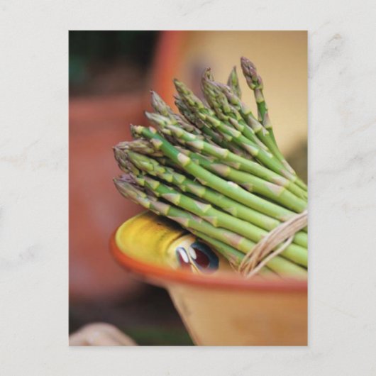 BRIEFKAART ASPARAGUS (Voorkant)