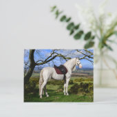 briefkaart "Aurora On Fox Hill" (Staand voorkant)