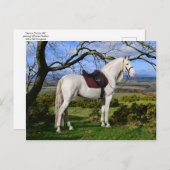 briefkaart "Aurora On Fox Hill" (Voorkant / Achterkant)