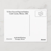 Briefkaart - baby 13-lijnse grondeekhoorns, Illino (Achterkant)