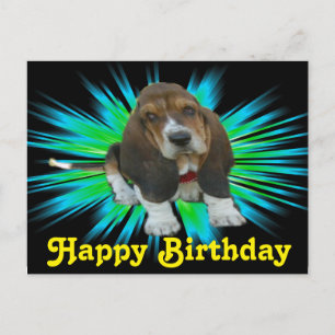 Briefkaart Baby Basset Sheldon Happy Birthday