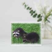 Briefkaart baby Raccoons (Staand voorkant)