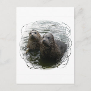 Briefkaart baby zegels