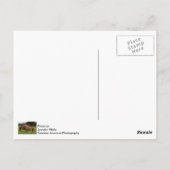 Briefkaart badschoonheid (Achterkant)