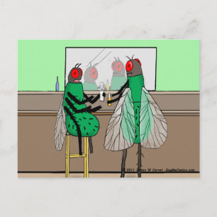 briefkaart "Bar Flies"