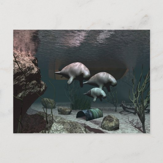 Briefkaart beheren (Voorkant)