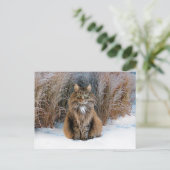 briefkaart "Beste prudence" (Staand voorkant)