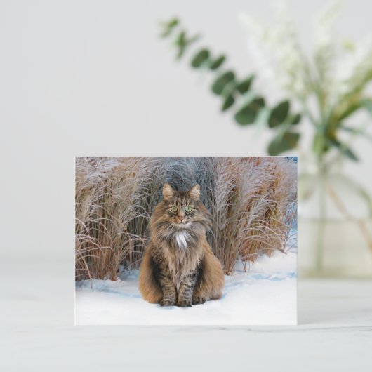 briefkaart "Beste prudence" (Staand voorkant)