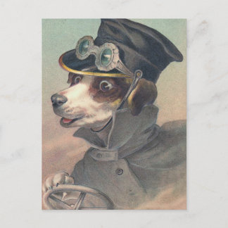 briefkaart " bestuurdershond"