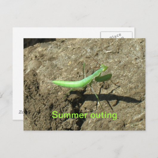Briefkaart - bidsprinkhaan (Voorkant / Achterkant)