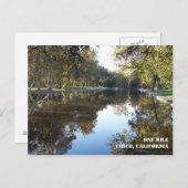 Briefkaart Bidwell Park (Voorkant / Achterkant)