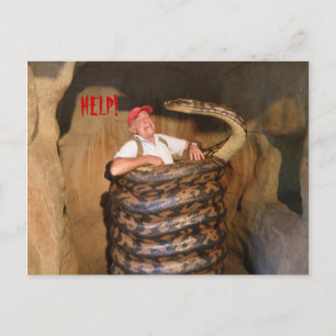 Briefkaart Big Snake QLD Australië