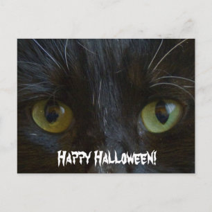 Briefkaart: Black Cat Eyes Briefkaart