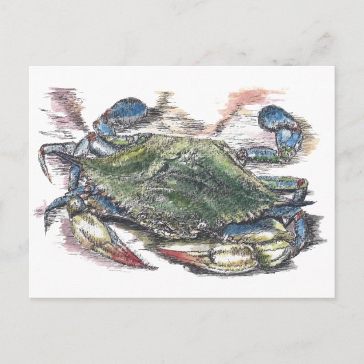 Briefkaart blauwe krab (Voorkant)
