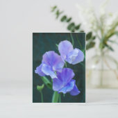 Briefkaart Blauwe peuzenbloemen (Staand voorkant)