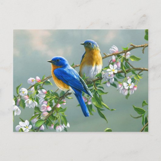 Briefkaart blauwe vogels (Voorkant)