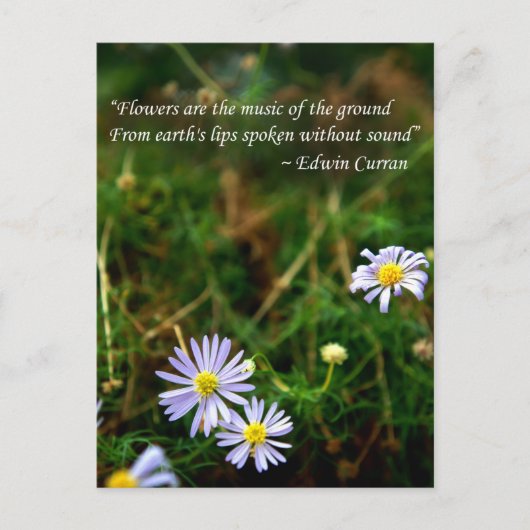 Briefkaart bloemen (Voorkant)