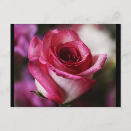 Briefkaart-bloemen-26 Briefkaart