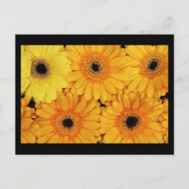 Briefkaart-bloemen-6 Briefkaart