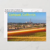 Briefkaart bloemvelden (Voorkant / Achterkant)