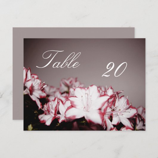 Briefkaart Blokkeertabelnummer (Voorkant / Achterkant)