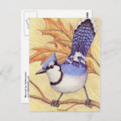 Briefkaart Bluejay (Voorkant / Achterkant)
