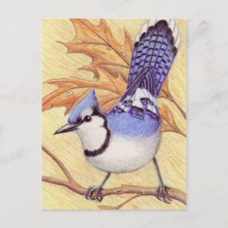 Briefkaart Bluejay