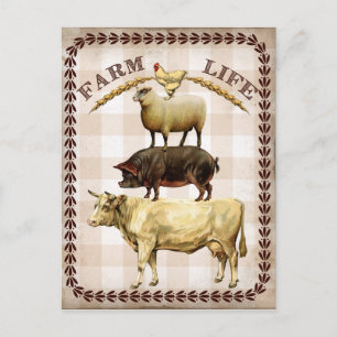  briefkaart boerderij