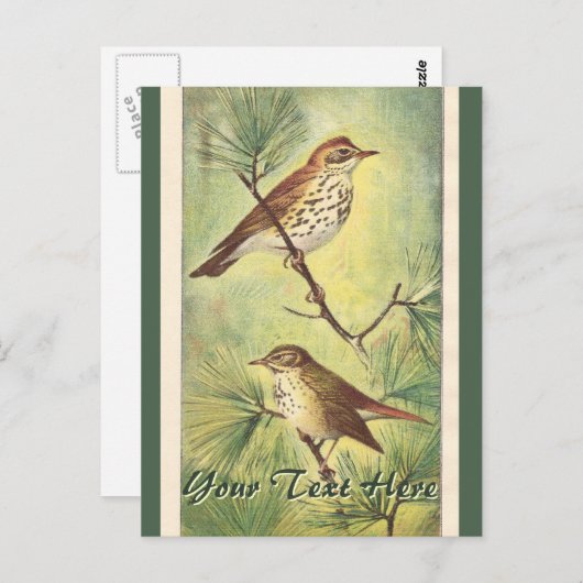 Briefkaart  borstels (Voorkant / Achterkant)