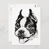 Briefkaart Boston Terrier (Voorkant / Achterkant)